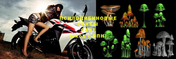 a pvp Алексин