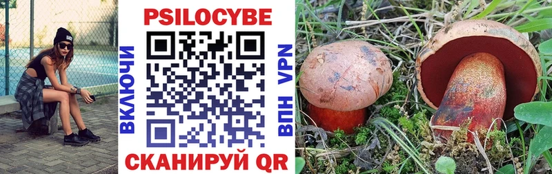 площадка формула  Учалы  Галлюциногенные грибы прущие грибы  купить  цена 