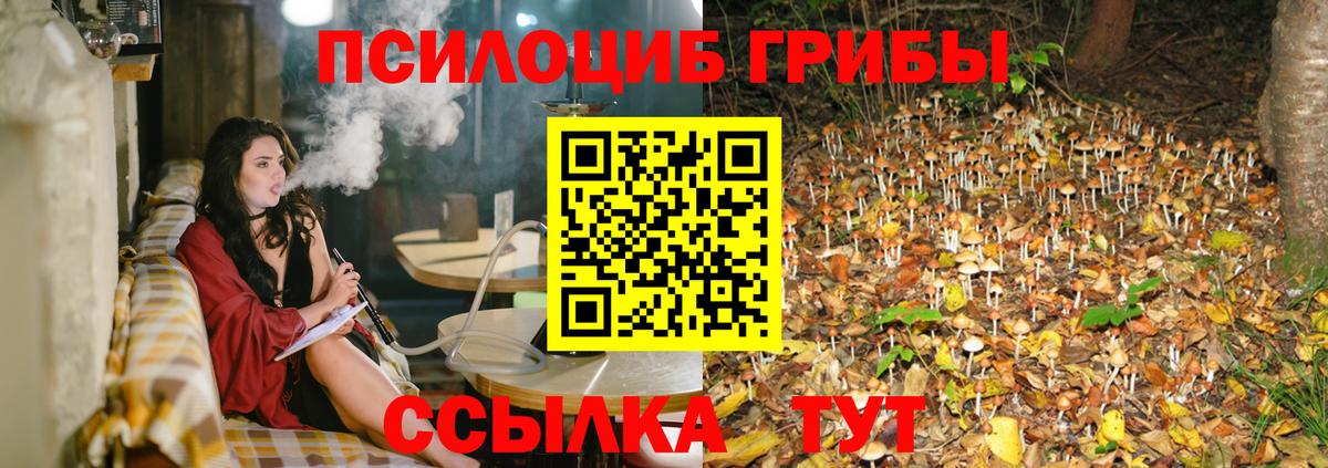 Учалы  Псилоцибиновые грибы мицелий  Вход с VPN 